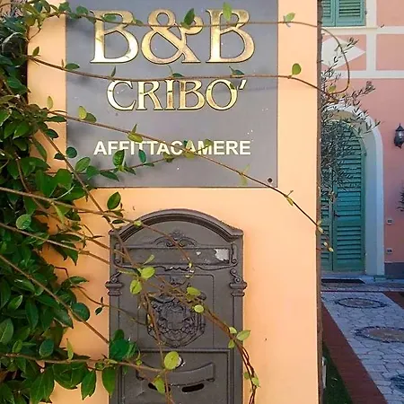 Cribò