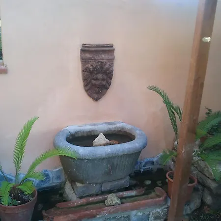 Cribò 4*