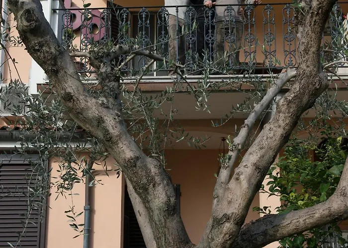 Cribo サン・ジュリアーノ・テルメ