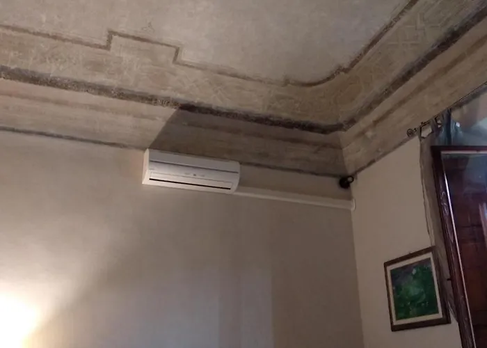 Bed and breakfast Cribo 4*